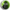 XQS Cola Lime Slim 8mg ••••